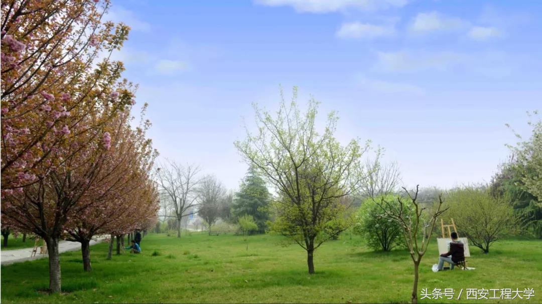 陕西省哪些大学是中国高水平大学,陕西省重点建设的高水平大学