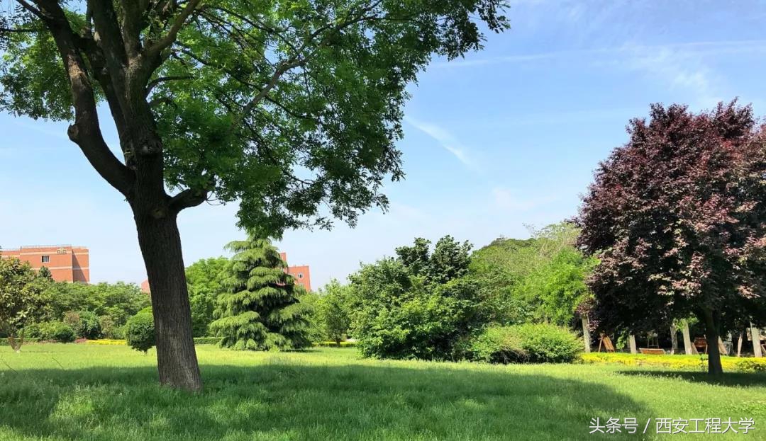 陕西省哪些大学是中国高水平大学,陕西省重点建设的高水平大学