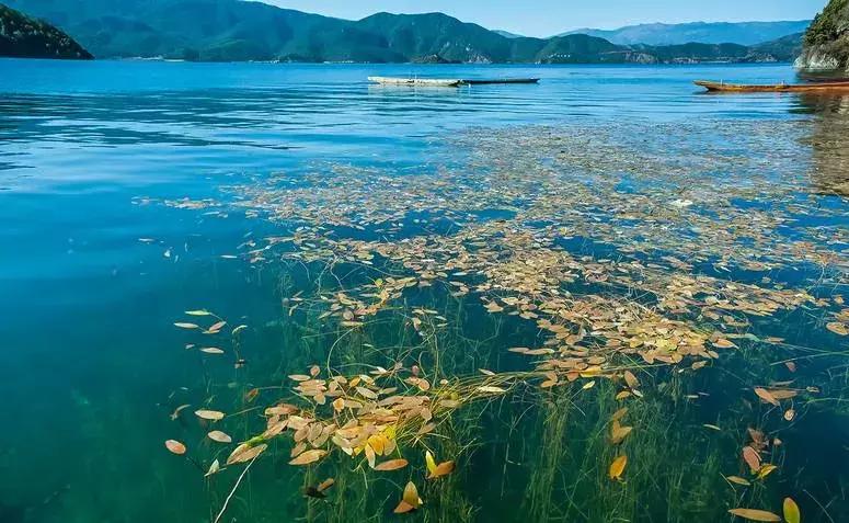 西昌泸沽湖住宿酒店推荐好一点,泸沽湖自由行住宿推荐