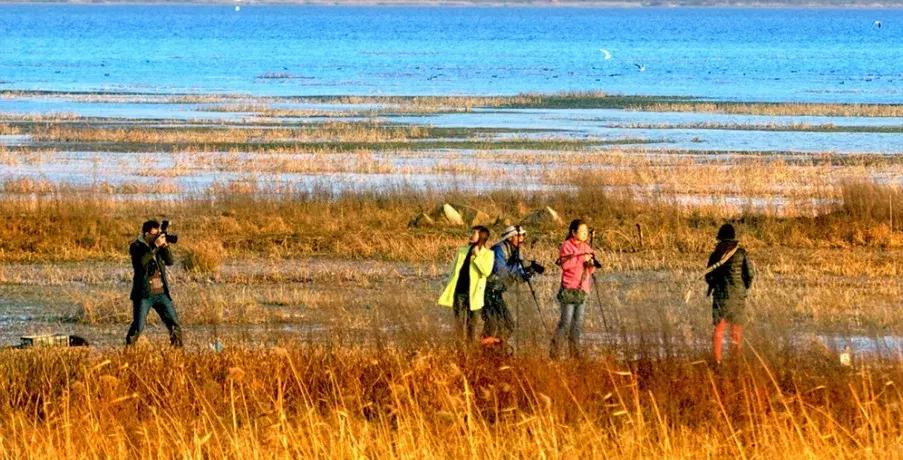 西昌泸沽湖住宿酒店推荐好一点,泸沽湖自由行住宿推荐