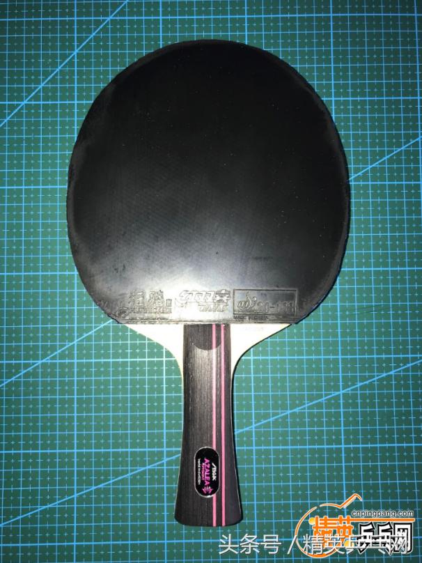 「精英聊器材」回看桃李无颜色，映得芙蓉不是花——斯帝卡杜鹃