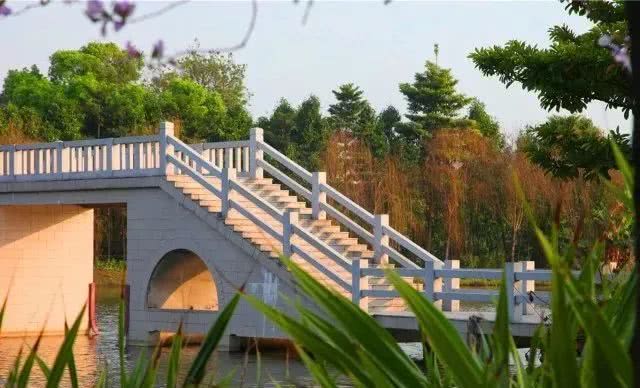 东莞道滘特产有哪些,东莞道滘哪个位置好点