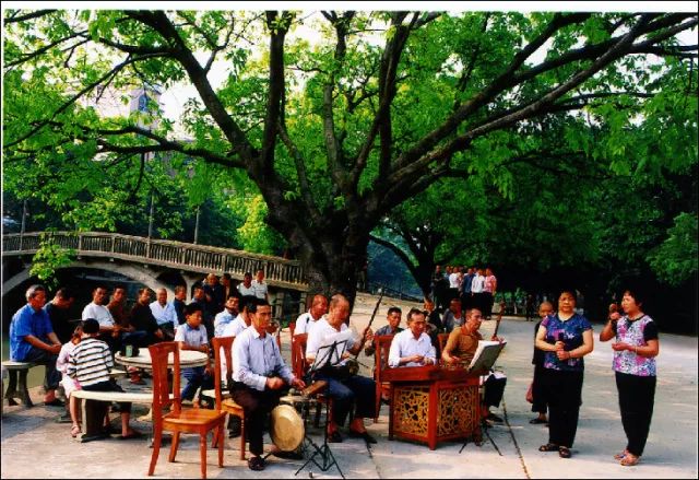 东莞道滘特产有哪些,东莞道滘哪个位置好点