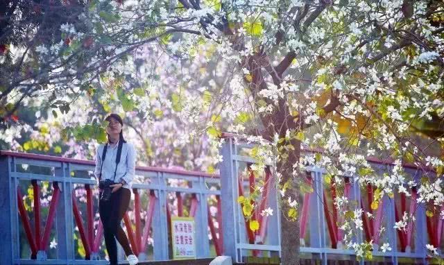 东莞道滘特产有哪些,东莞道滘哪个位置好点