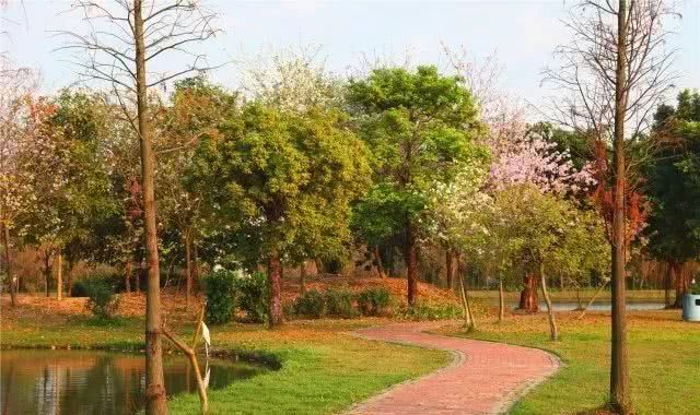 东莞道滘特产有哪些,东莞道滘哪个位置好点