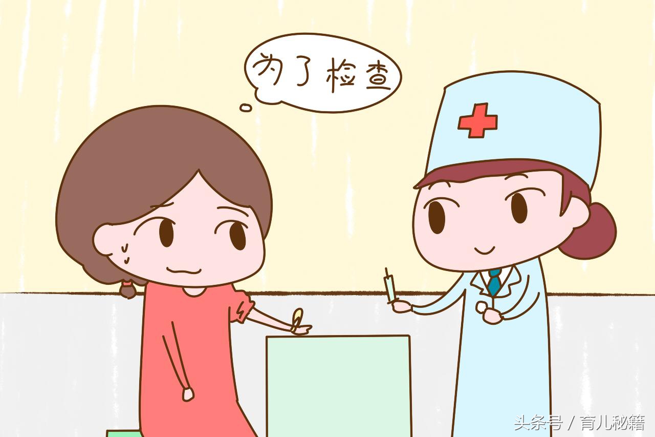 孕前检查女性必做项目有哪些,女性孕前检查必要项目