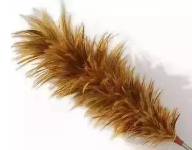 北京孩子真牛！小时候用过的东西，现在成了国际时尚潮流！