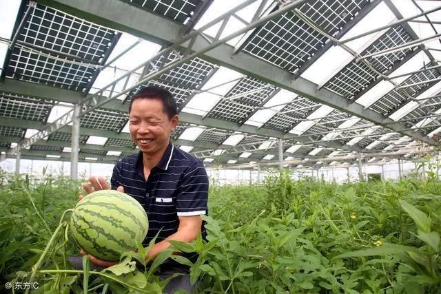 光伏农业的十大模式你知道几个,光伏农业前景好紧跟政策很重要