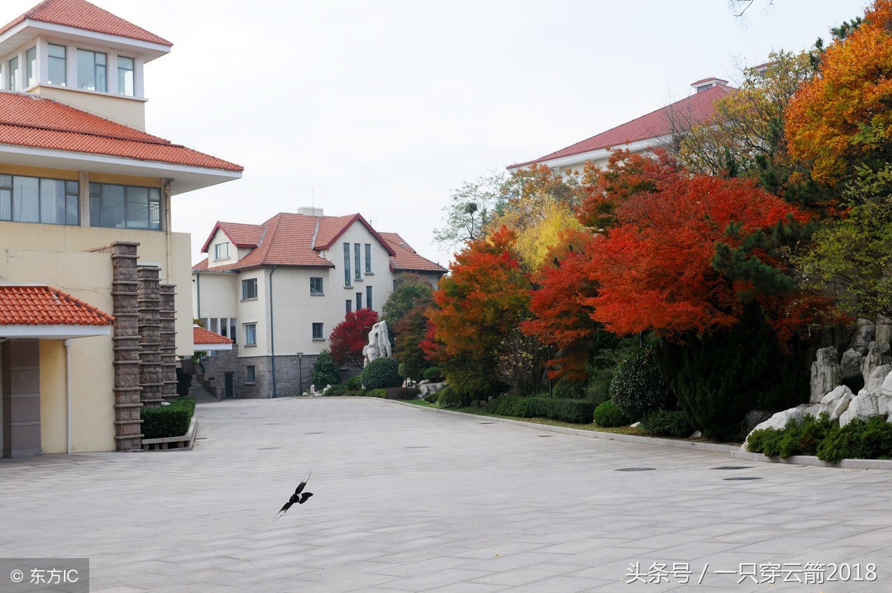 青岛这几年房价没有降的楼盘,青岛楼市李沧房价