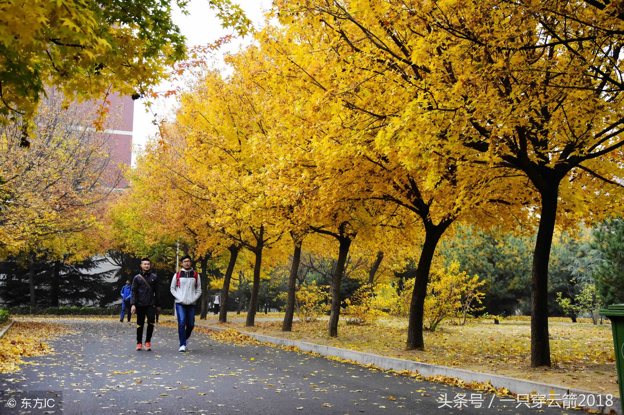 青岛这几年房价没有降的楼盘,青岛楼市李沧房价