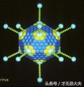 夏天是尿路感染的高发季，如何预防和治疗呢？