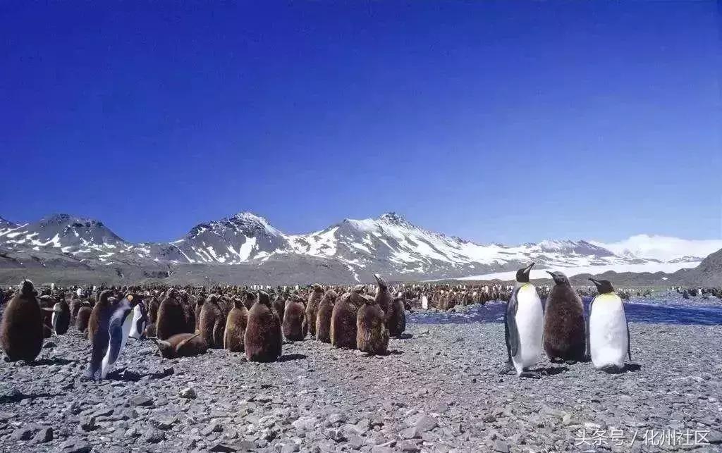 把中国护照免签的地方都去一遍,各国护照免签目的地排行