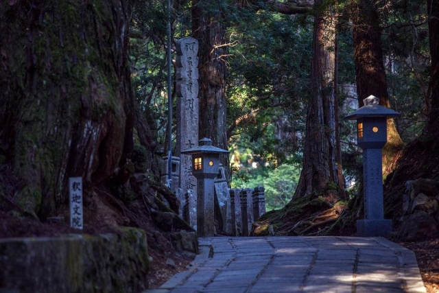 鏃ユ湰瀵哄簷姘戝璁㈡埧,鏃ユ湰椤剁骇瀵哄簷姘戝