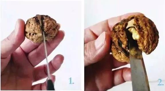 核桃全身都是宝吗,核桃浑身上下都是宝