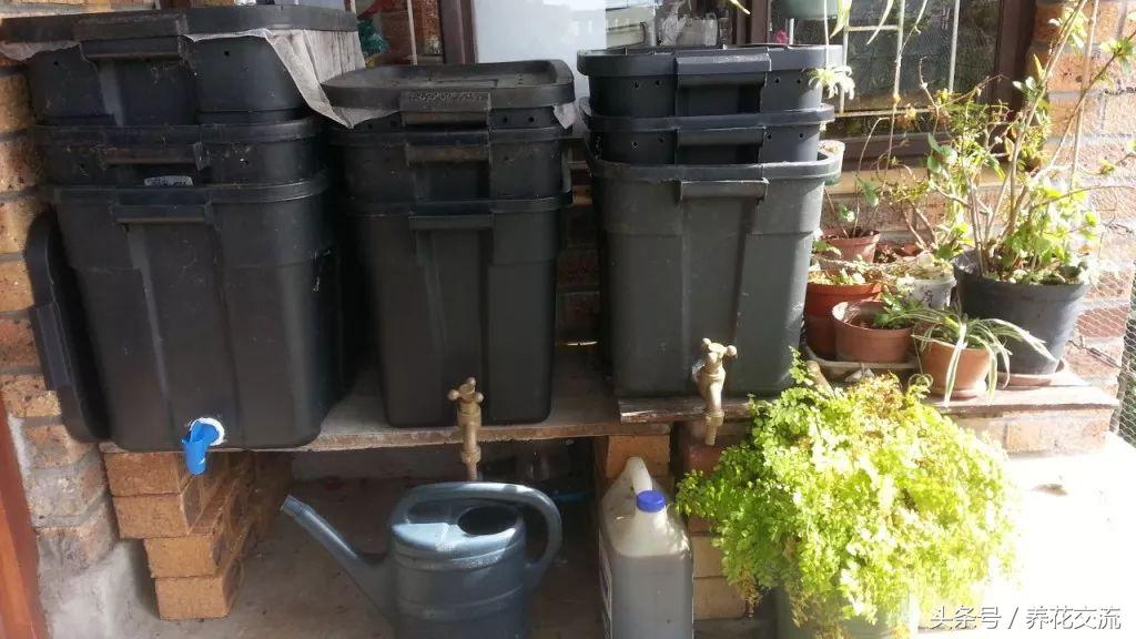制作有机液肥最好的原料,自制有机液肥的制作方法