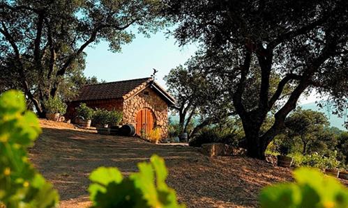 美国最出名的葡萄酒是什么,葡萄酒美国