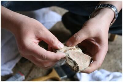 我在故宫修文物之书画篇,我在故宫修文物书在线阅读