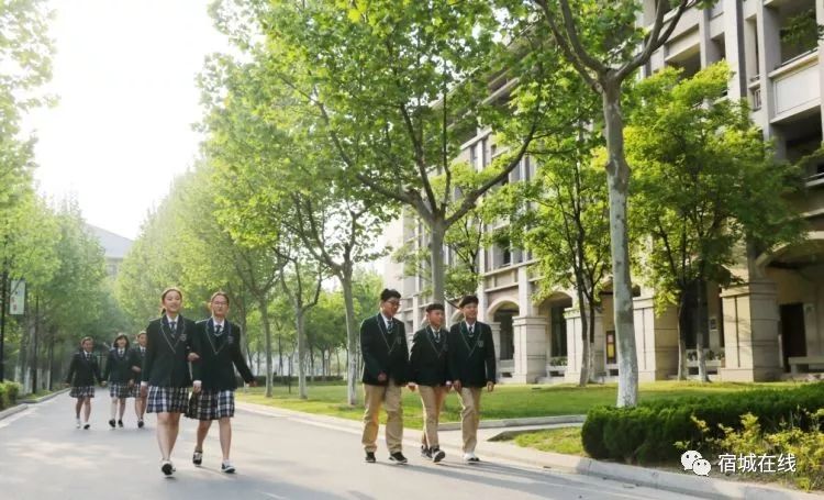 孩子去哪上学读书最好,小孩怎么去泗洪上学