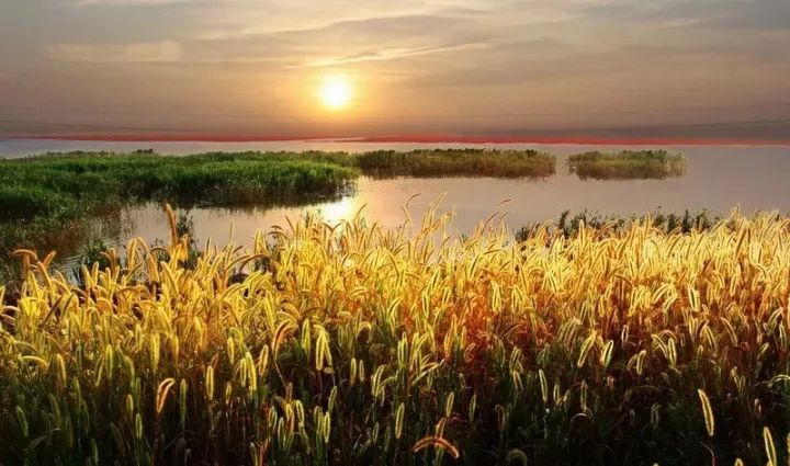 秦沈高铁二线盘锦,中国高铁秦沈客专