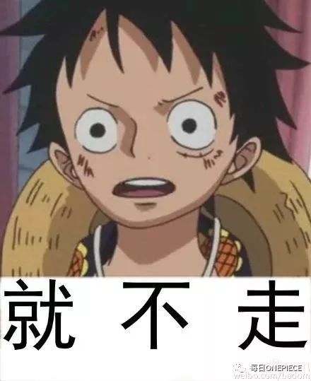 海贼王表情包聊天,海贼王表情包对不起