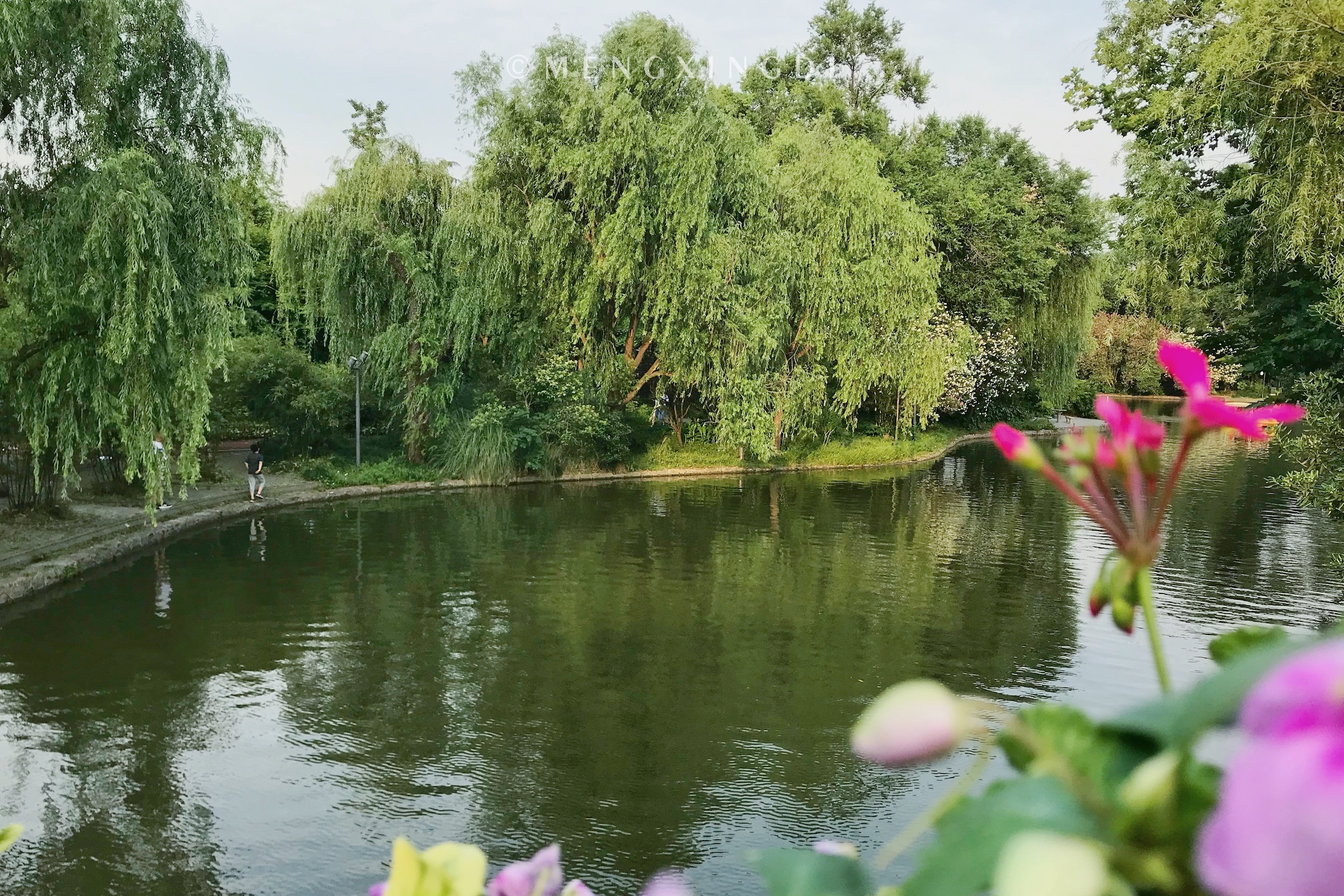 上海消暑园林好去处,上海初秋的长风公园