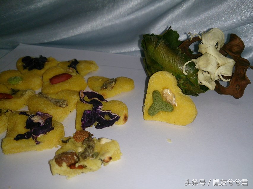 仓鼠的食物自制最简单,仓鼠自制小零食新手教程