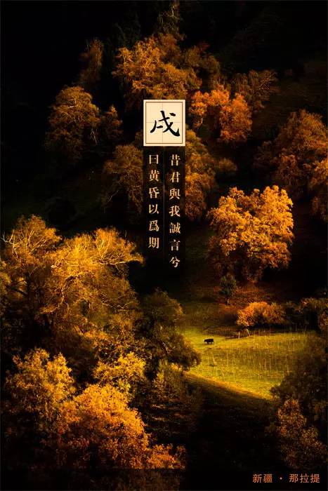 中国十二时辰之美,中国十二时辰书籍