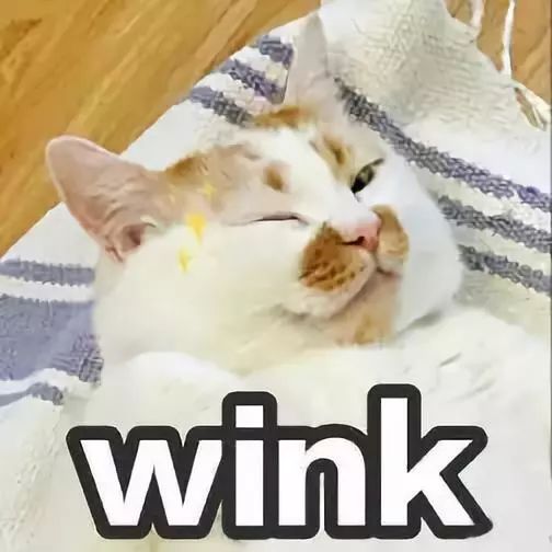 七大常见肿瘤筛查推荐,美国癌症诊疗指南