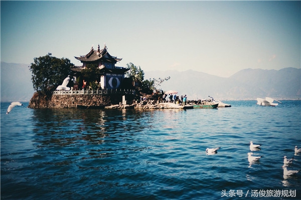 盘点那些花样百出的骗子,花样百出的骗局完整视频