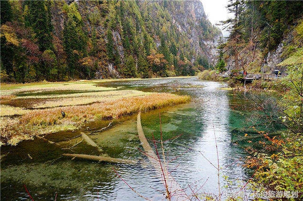 盘点那些花样百出的骗子,花样百出的骗局完整视频