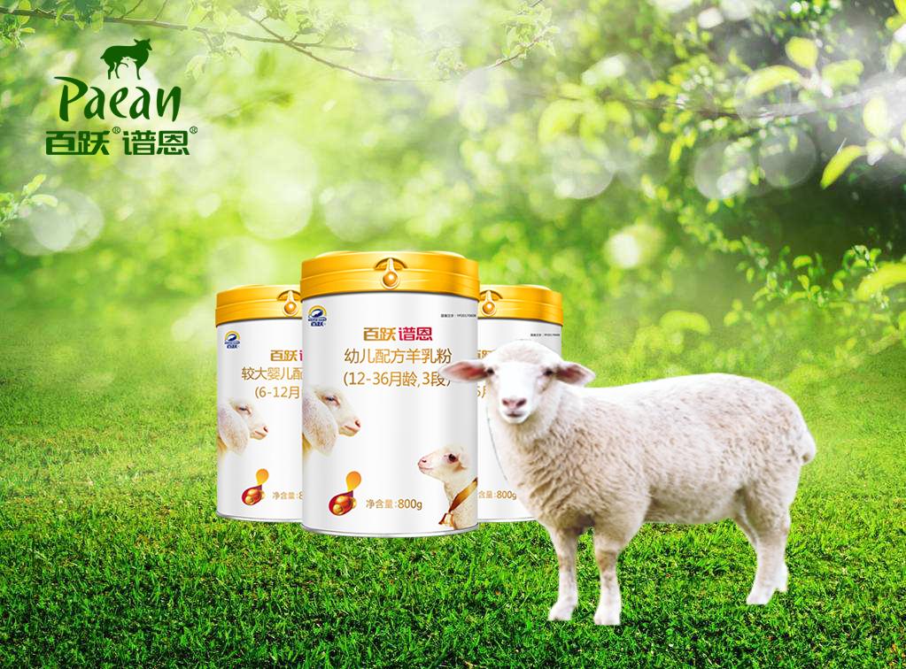 百跃谱恩绵羊奶粉,谱恩绵羊奶儿童奶粉4段
