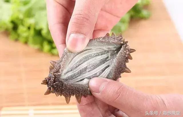 海参筋会限制海参的泡发吗,带筋海参和不带筋海参的区别
