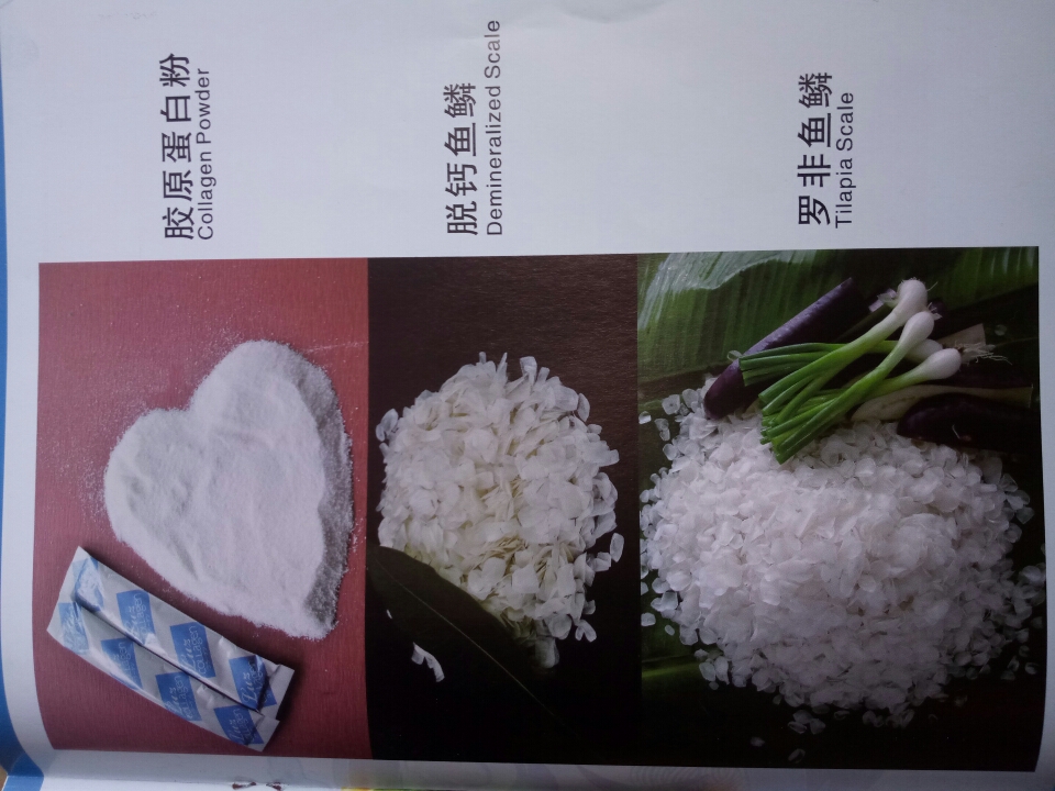 惊喜！雷州有家专业研发鱼皮胶原蛋白产品的中日合资企业