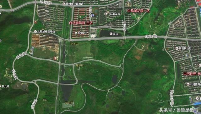 苏州土拍热度卖地收入124亿,苏州第二次集中土拍48块地