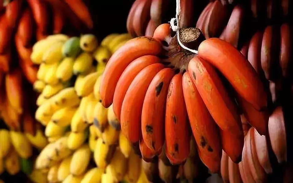 南宁出发动车可以直达的省份,南宁开通动车直通厦门