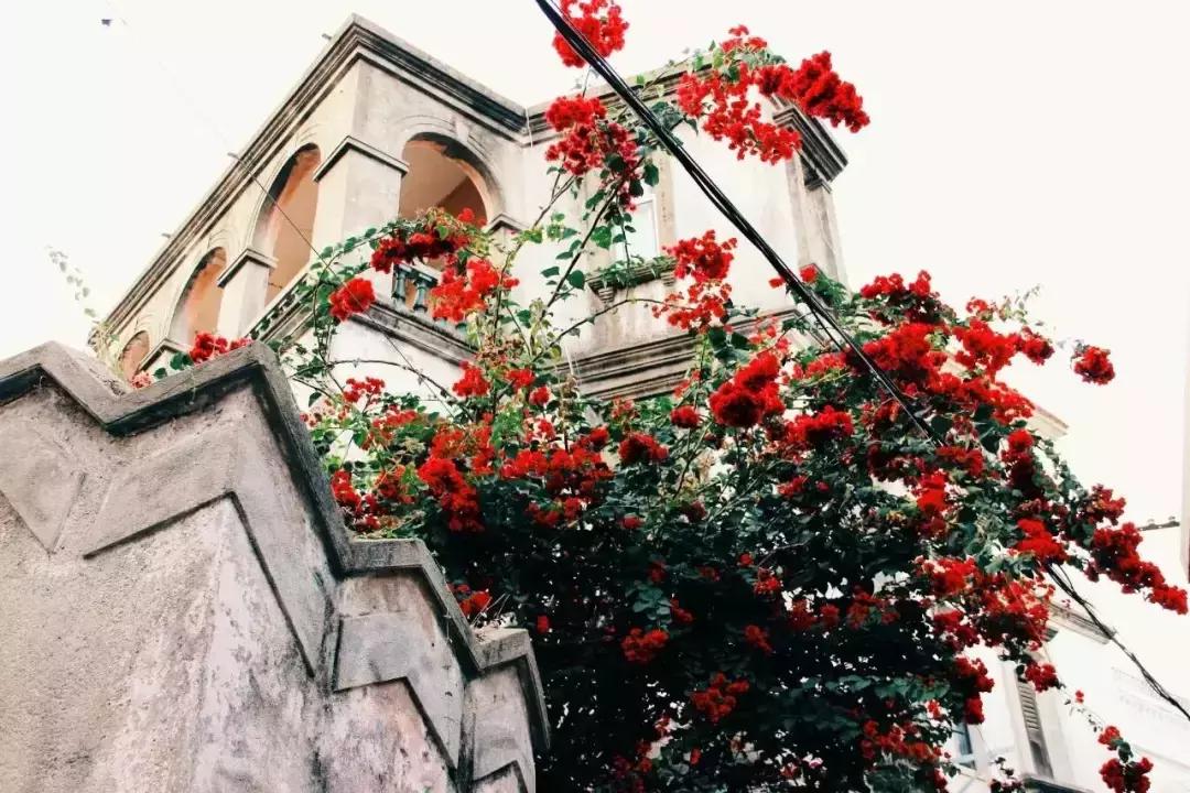 南宁出发动车可以直达的省份,南宁开通动车直通厦门