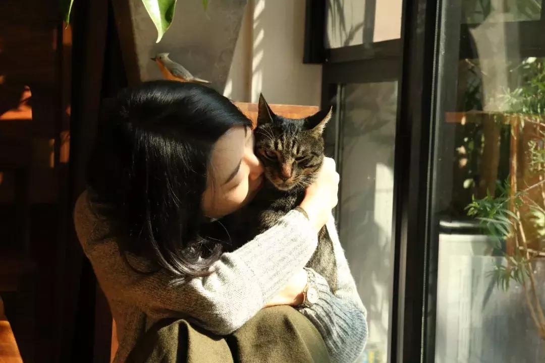 你在过日子，我在“绘生活”｜中赫时尚101故事