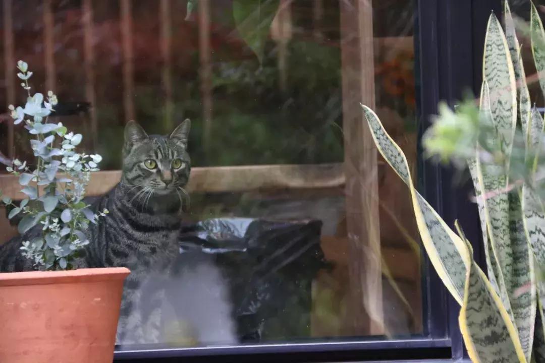 你在过日子，我在“绘生活”｜中赫时尚101故事