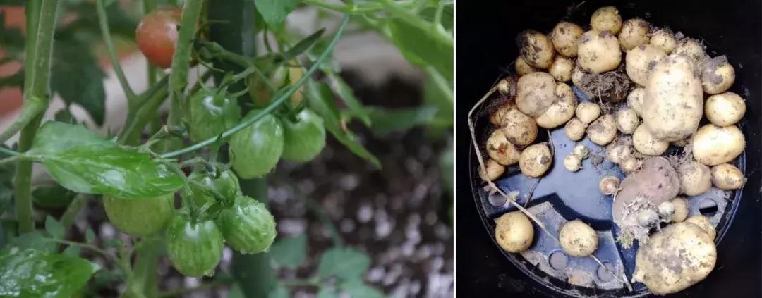 你在过日子，我在“绘生活”｜中赫时尚101故事