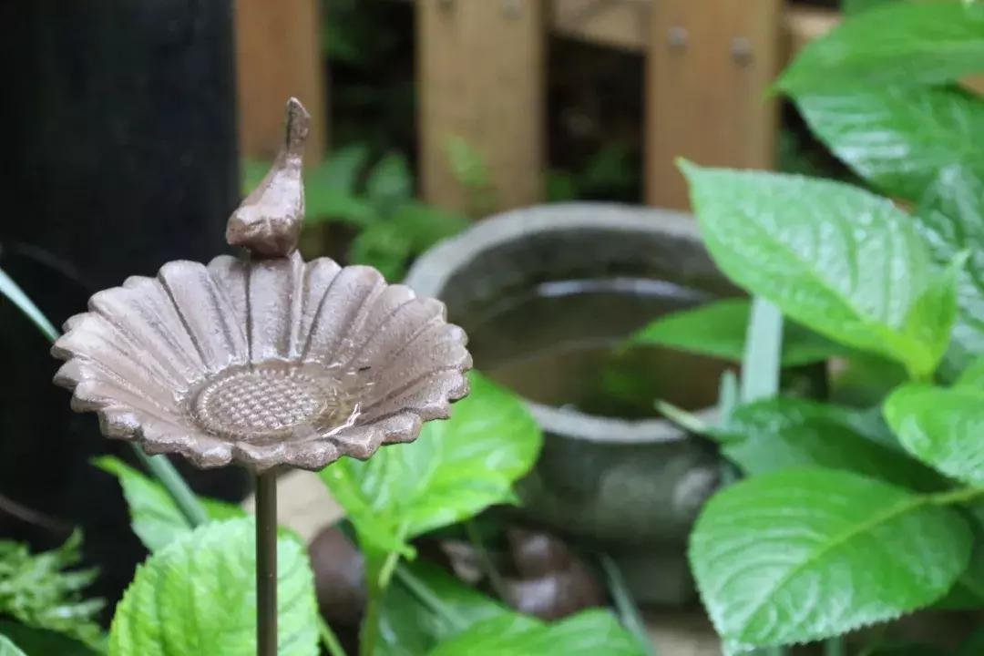 你在过日子，我在“绘生活”｜中赫时尚101故事