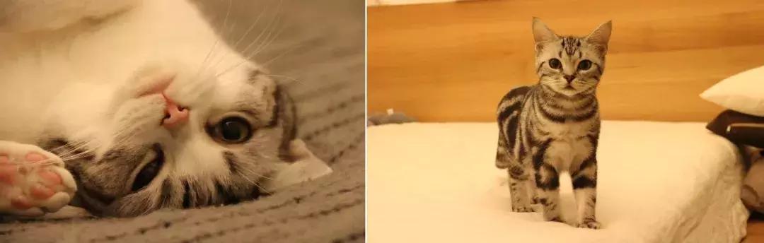 你在过日子，我在“绘生活”｜中赫时尚101故事