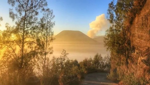 印尼热带雨林徒步,去印尼看火山最全攻略