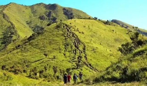 印尼热带雨林徒步,去印尼看火山最全攻略