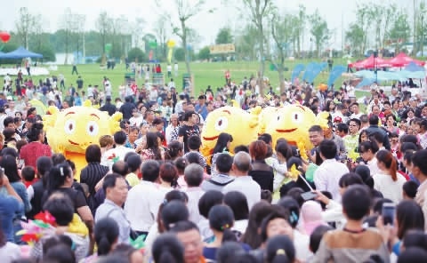 共同探讨乡村振兴发展思路,浔龙河乡村振兴工作