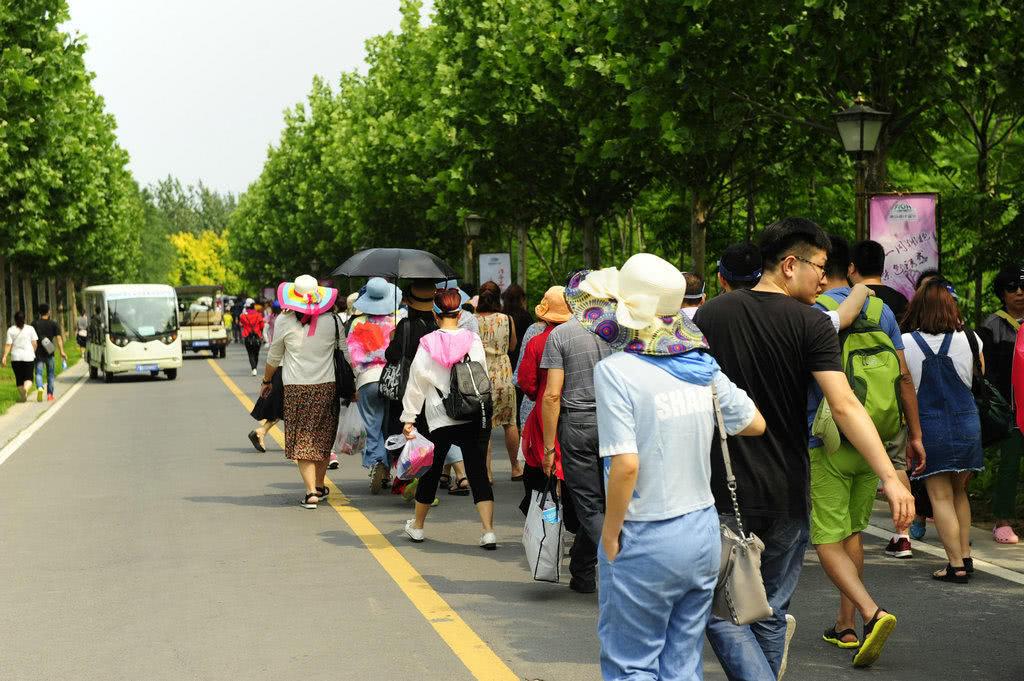 北戴河泡海避暑,北戴河海滩避暑