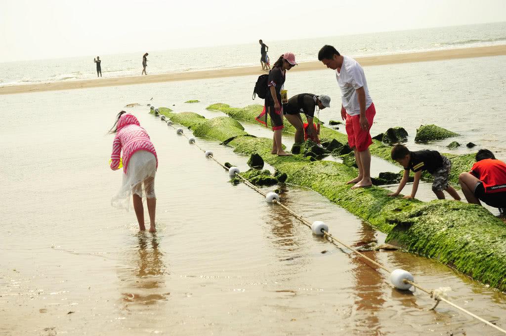 北戴河泡海避暑,北戴河海滩避暑