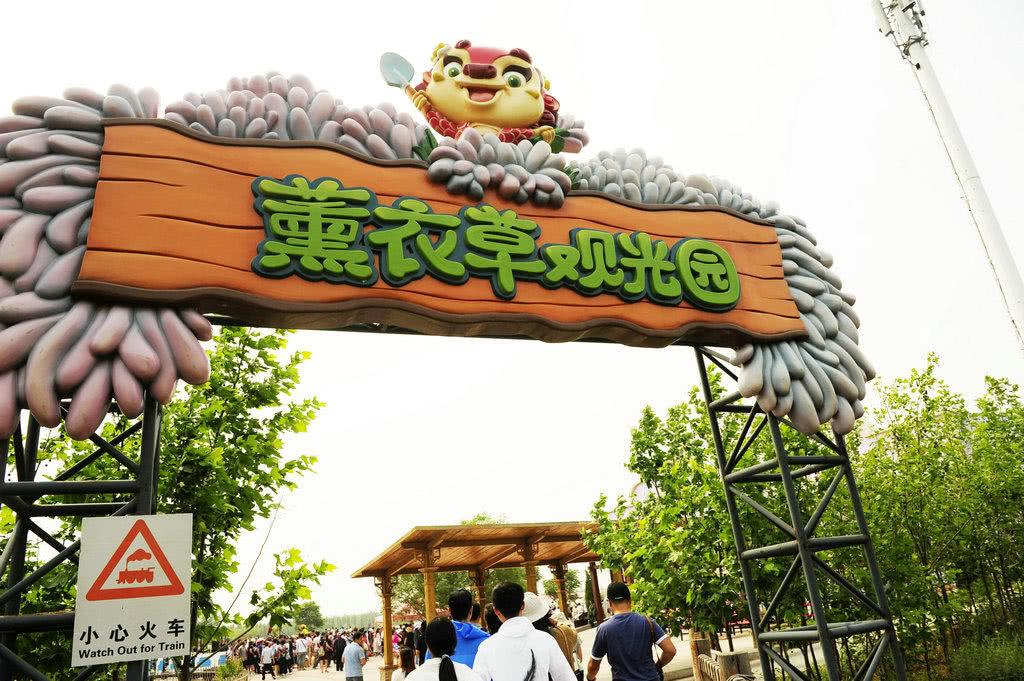 北戴河泡海避暑,北戴河海滩避暑