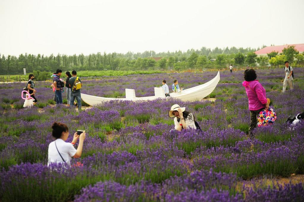 北戴河泡海避暑,北戴河海滩避暑