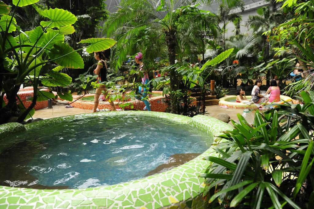 北戴河泡海避暑,北戴河海滩避暑