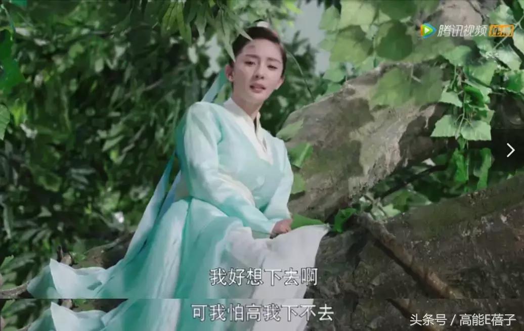 扶摇中阮经天饰演角色叫什么名字,扶摇电视剧扶摇变身凤凰片段